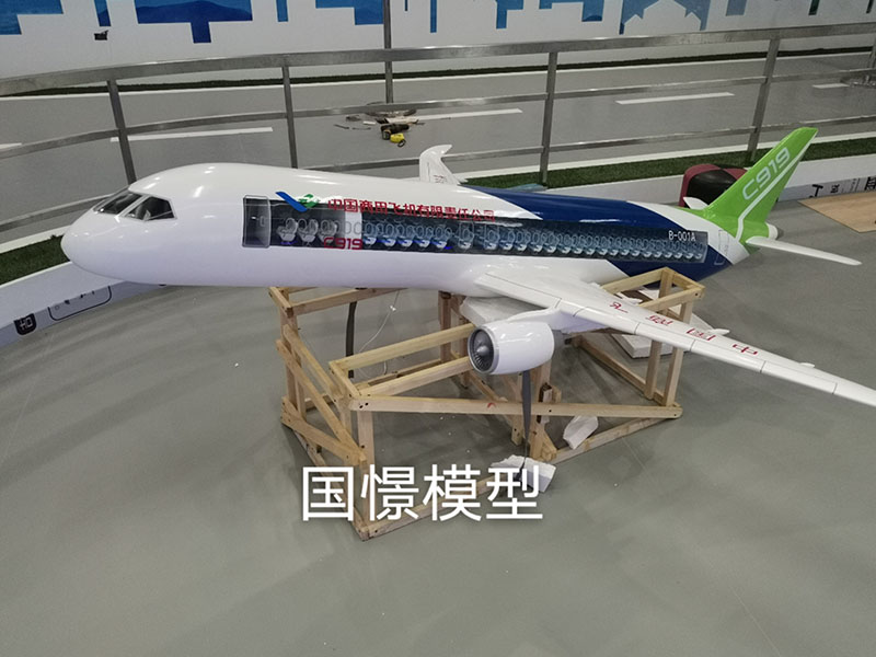左权县飞机模型